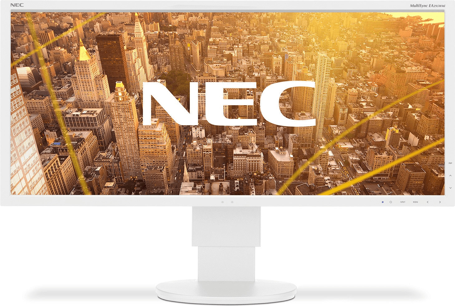 NEC Display Solutions MultiSync EA295WMi