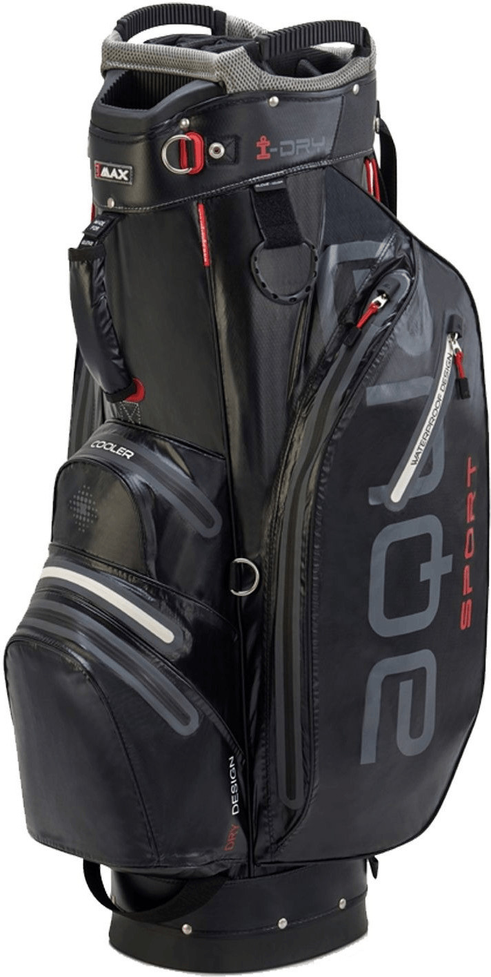 Big Max Aqua Sport 2 (WL90020) black/silver