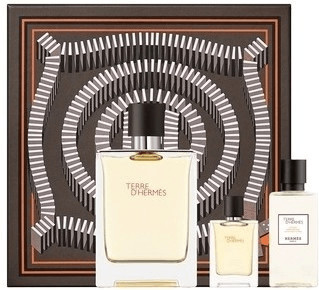 Hermès Terre d'Hermes Set (EdT 100ml + EdT 5ml + ASB 40ml)
