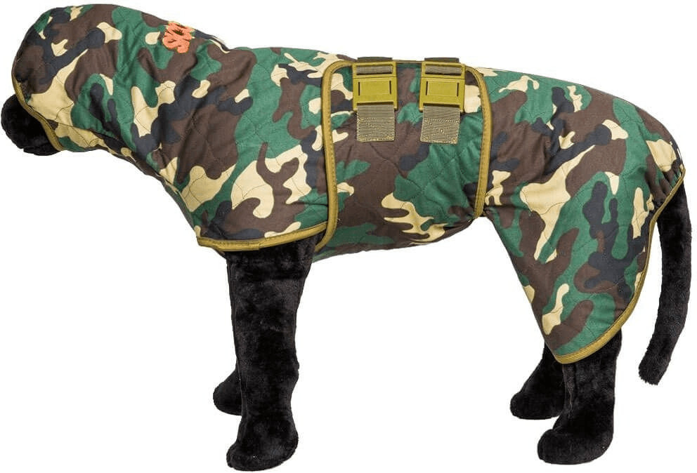 Siccaro WetDog Spirit