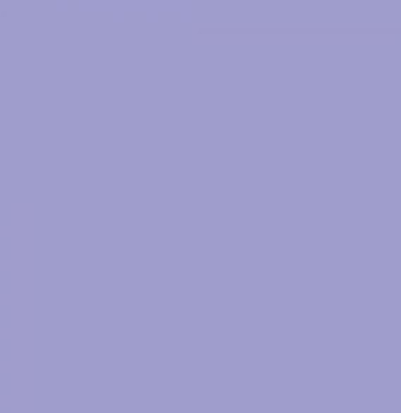Savage Background A2 1,35x11 m 29 orchid