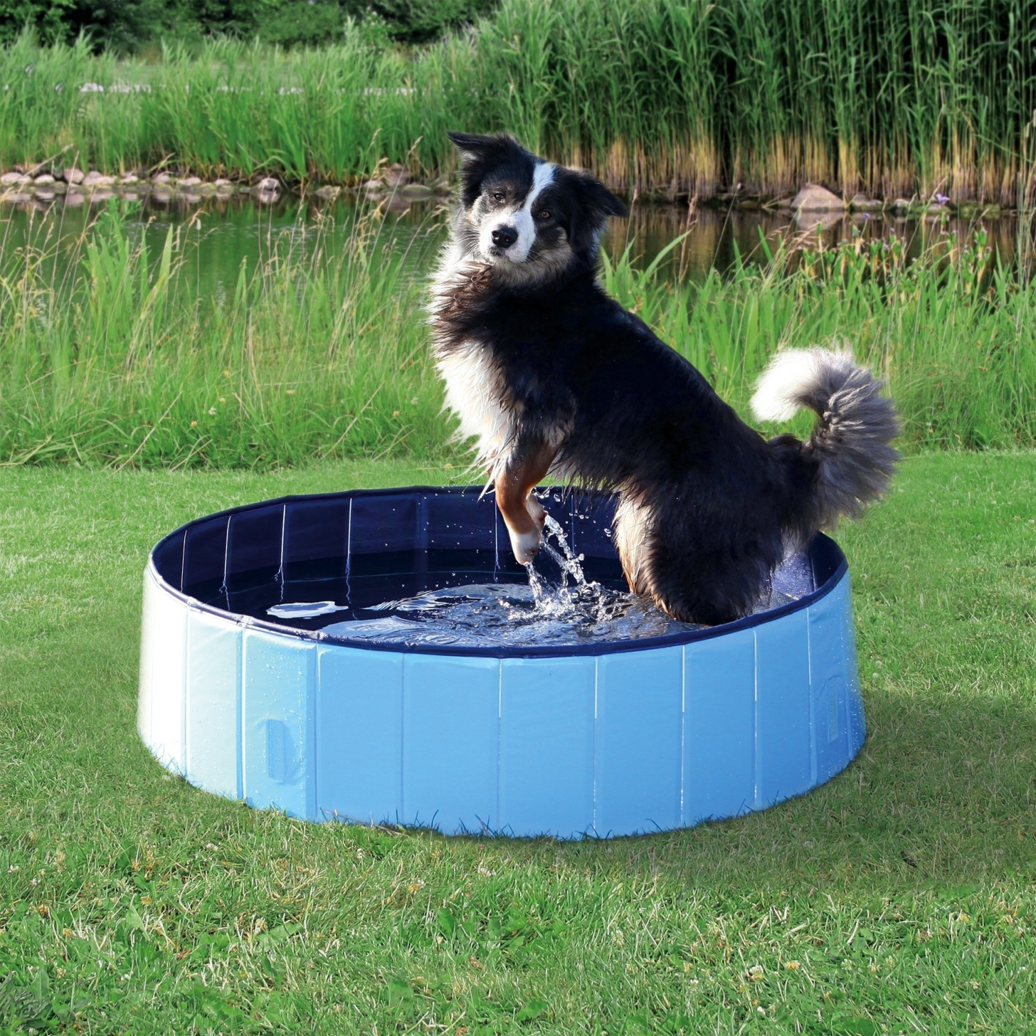 Trixie Piscine pour chien 80 x 20 cm