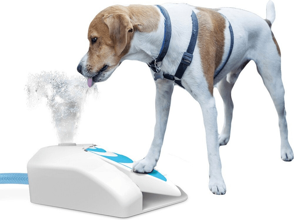 All for Paws Fontaine à eau pour chien All for Paws Fontaine à eau pour chien