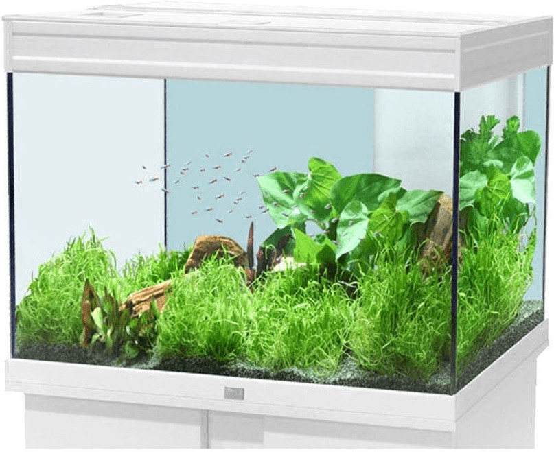 Aquatlantis Elegance Plus 80 LED white