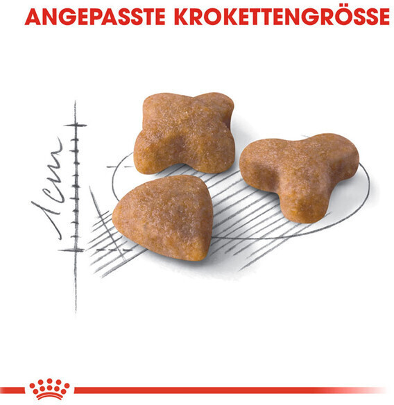 Royal Canin Croquettes pour chat 4kg Royal Canin Croquettes pour chat 4kg