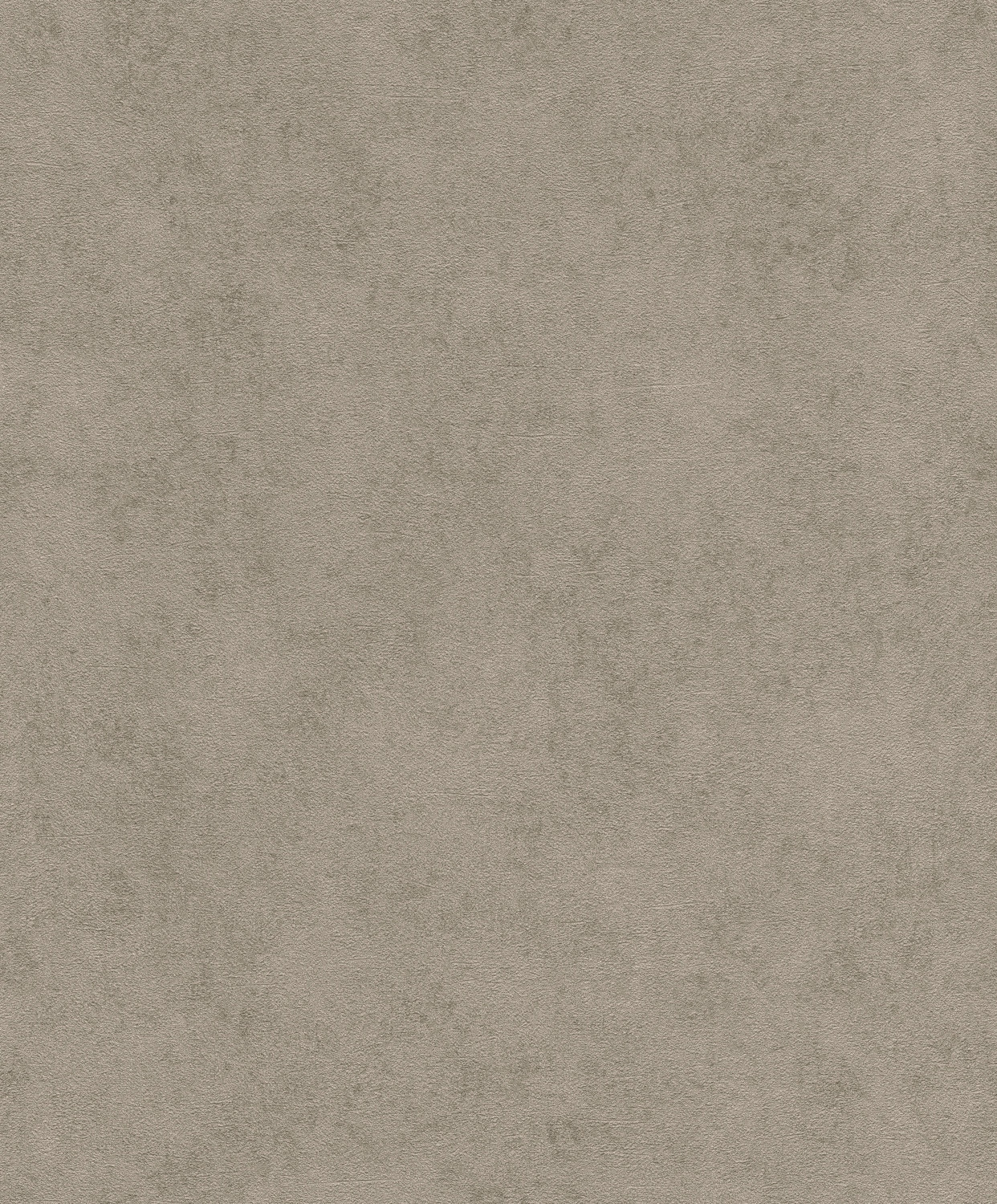 Rasch 467215