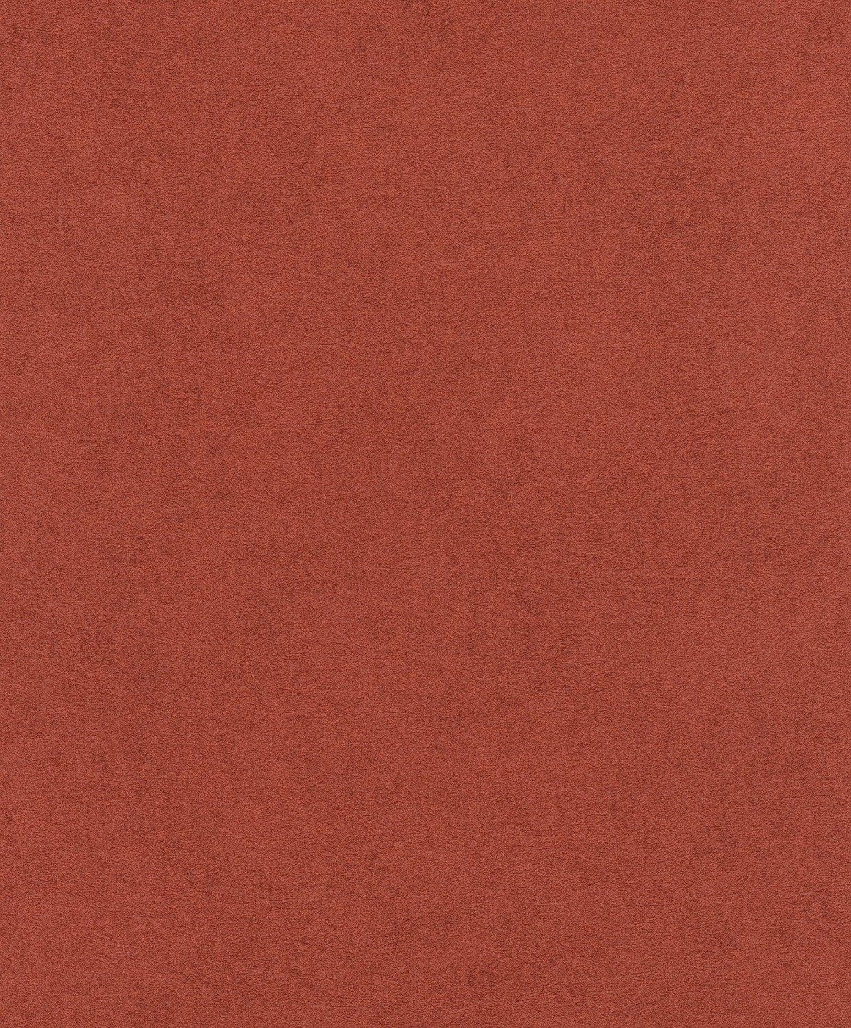 Rasch 467260