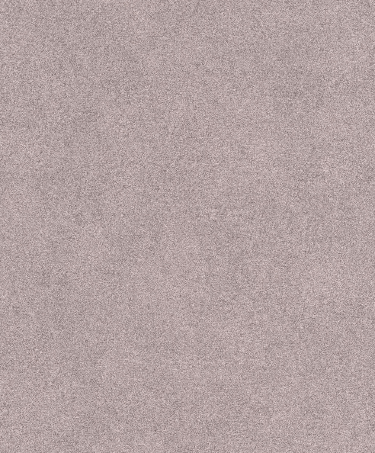 Rasch 467192