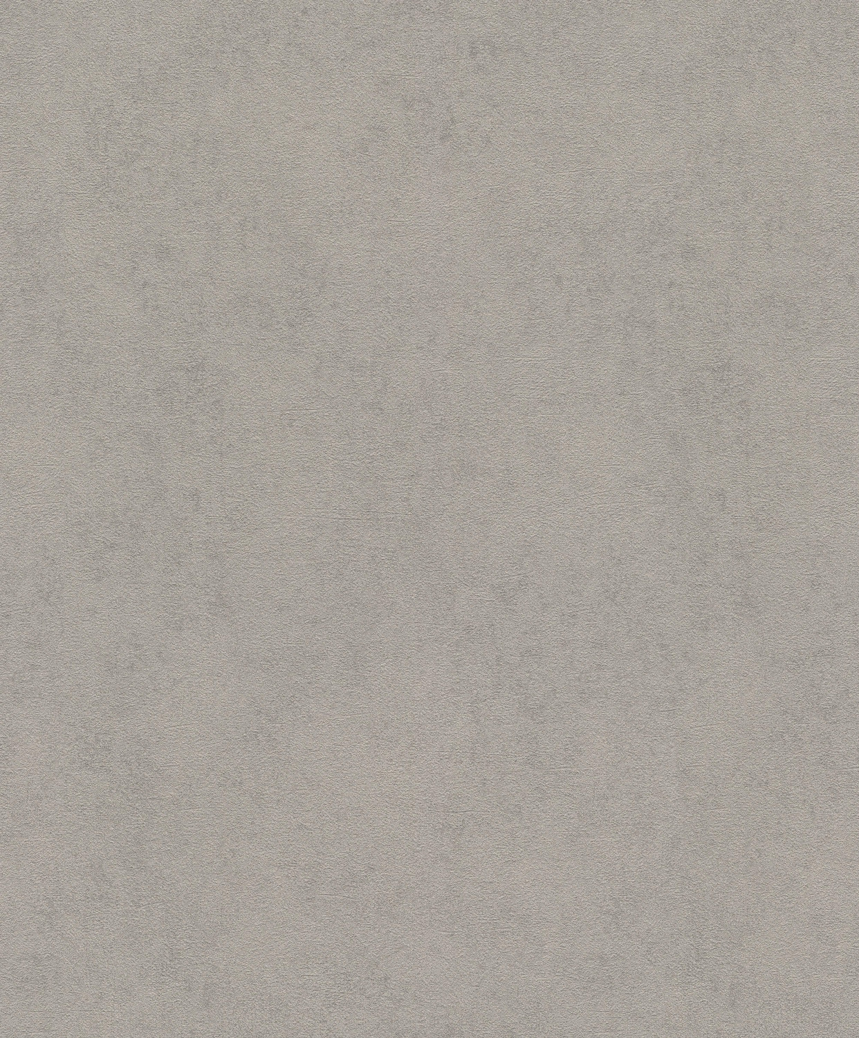 Rasch 467208