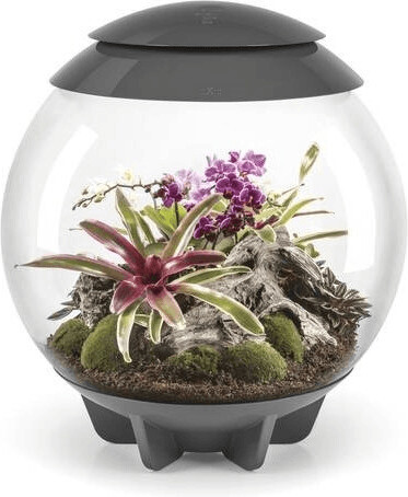 biOrb AIR 60