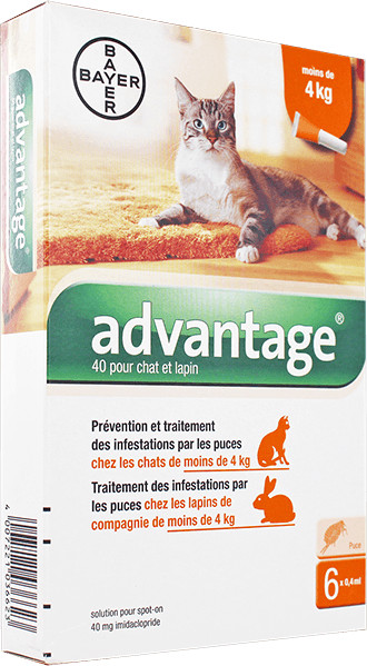 Bayer Santé Familiale Advantage 40 pour chat et lapin jusqu'à 4 kg 6 pipettes