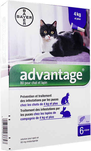 Advantage Chat et lapin +4 kg avec 80 mg imidaclopride 6 pipettes