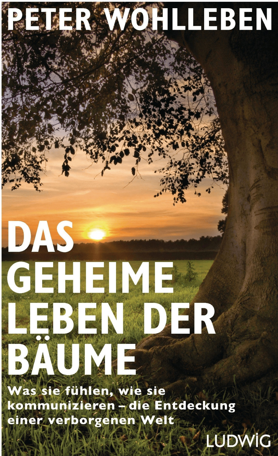 Das geheime Leben der Bäume Was sie fühlen, wie sie kommunizieren - die Entdeckung einer verborgenen Welt (Peter Wohlleben)