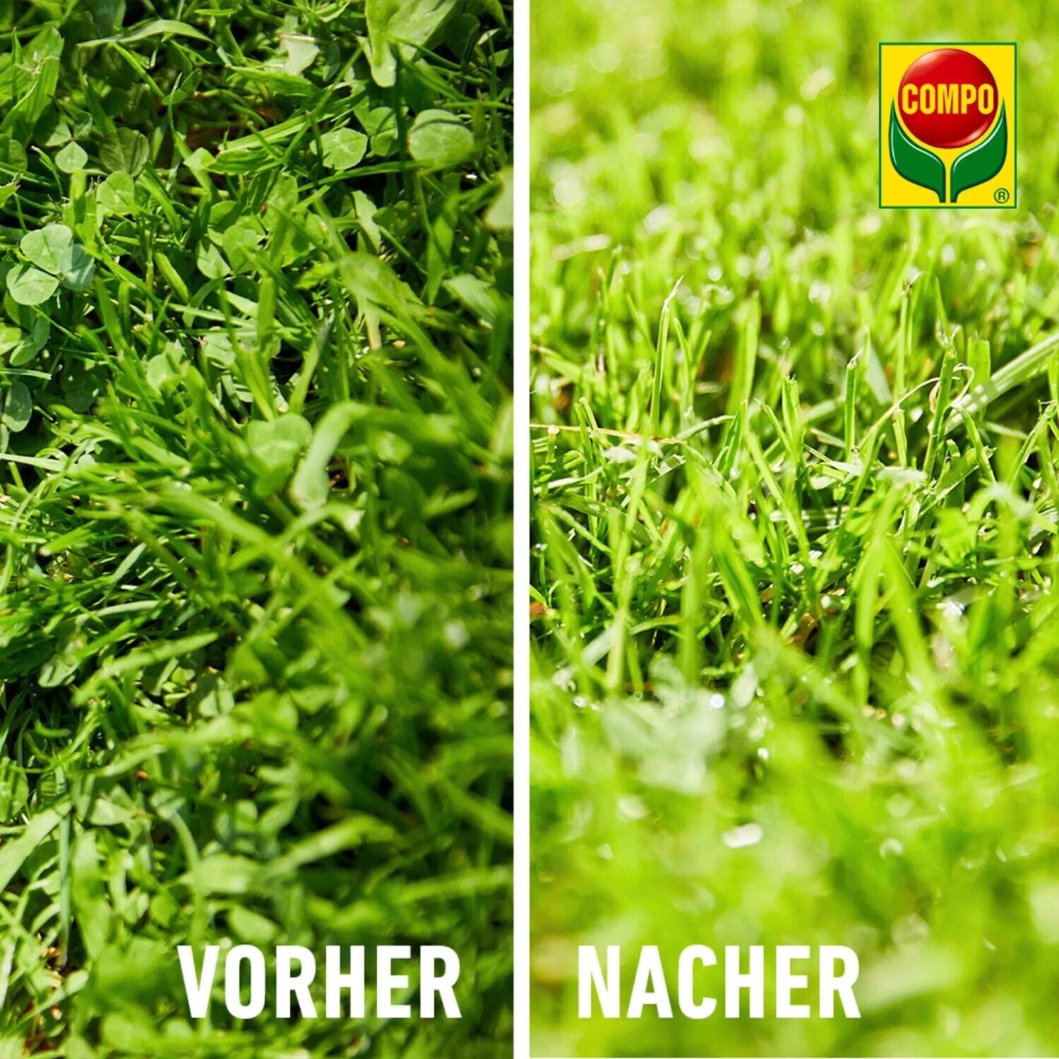 COMPO Banvel Quattro 400ml ab 18.95  | Vergleiche 11 Angebote auf idealo.de