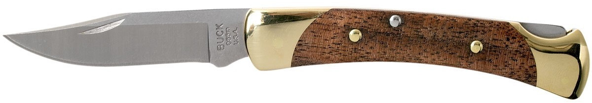 Buck Folding Hunter 55