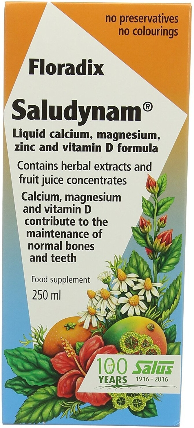 Photos - Vitamins & Minerals Salus Pharma Salus Pharma Floradix Saludynam Liquid (250 ml)