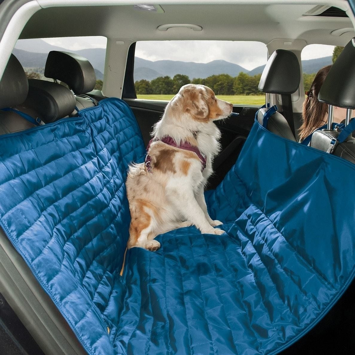 Kurgo Loft Hammock