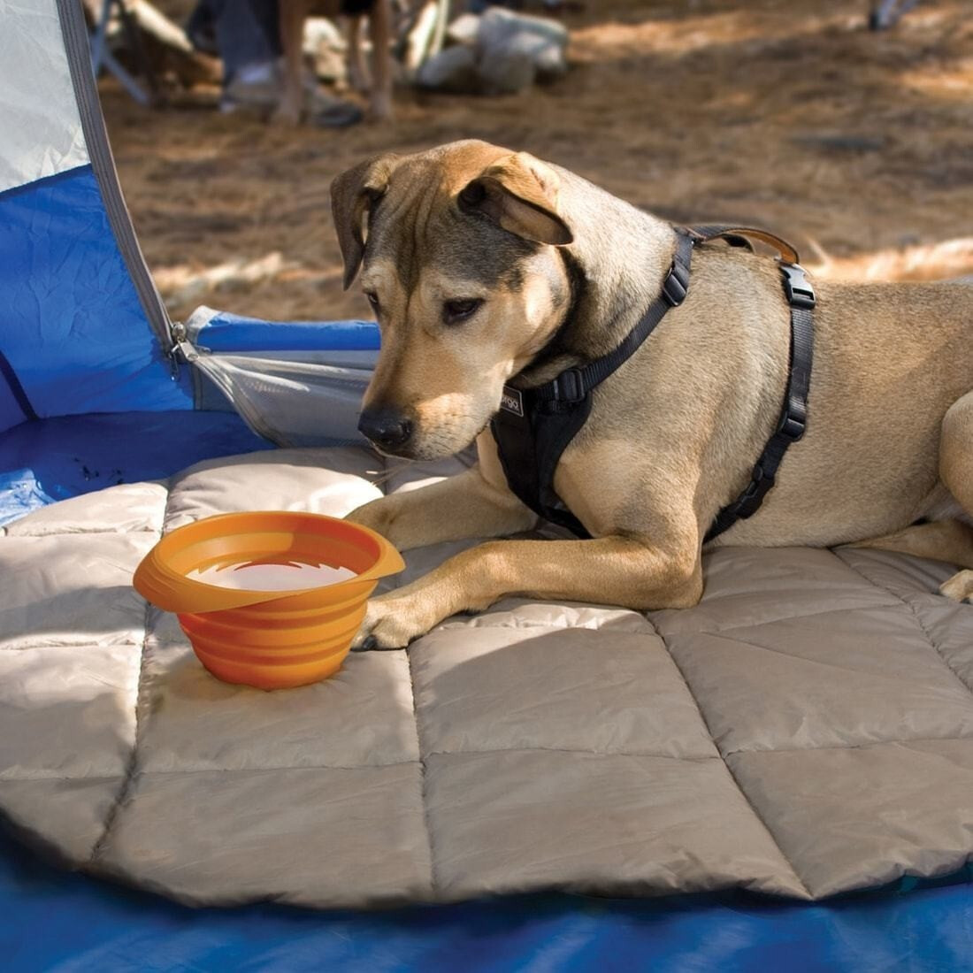 Kurgo Gamelle pliable pour chien orange