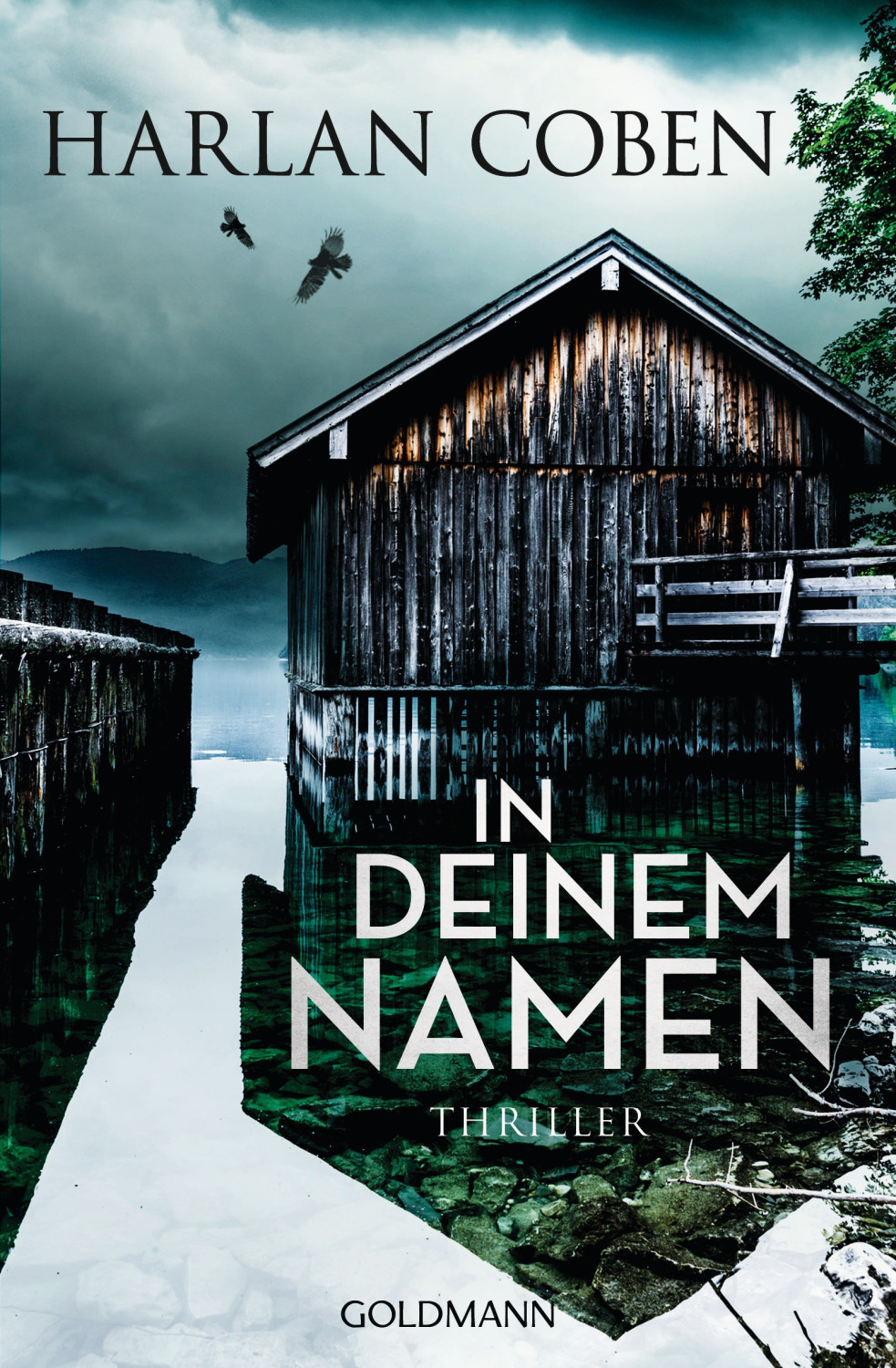 In deinem Namen (Harlan Coben) [Paperback]