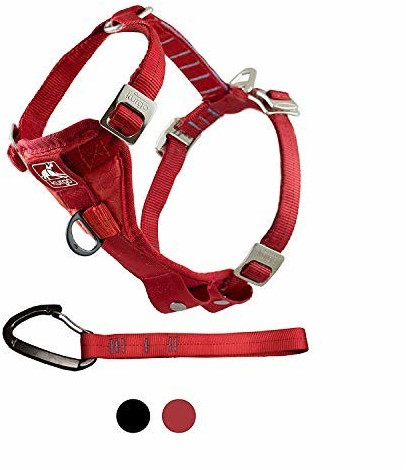 Kurgo Tru-Fit Smart XL red