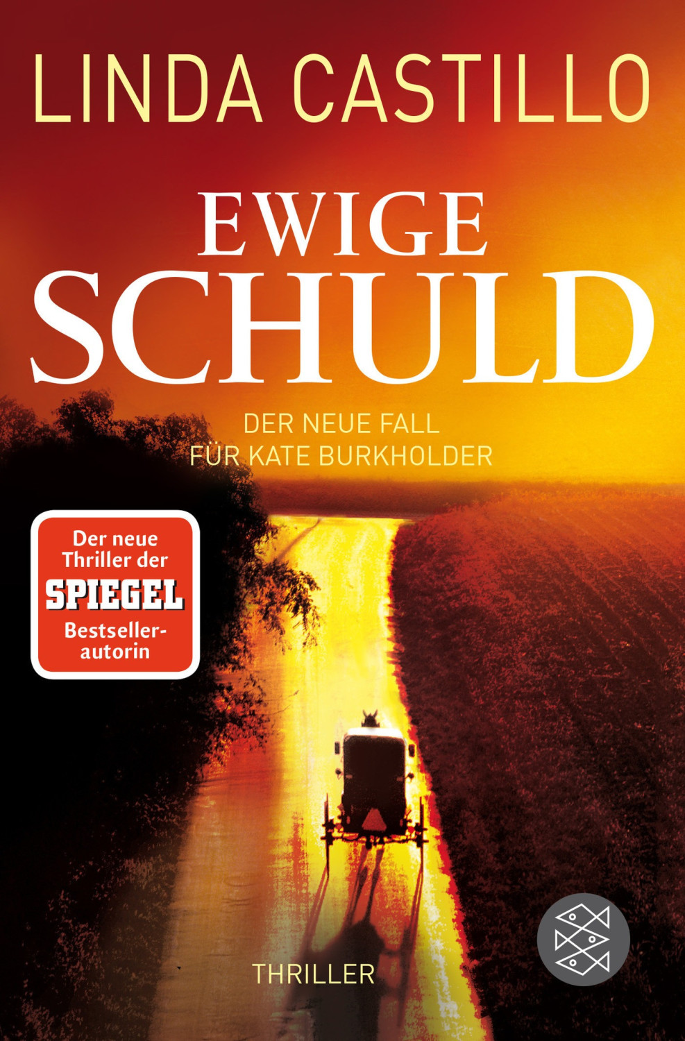 Ewige Schuld Der neue Fall für Kate Burkholder  9 (Linda Castillo)