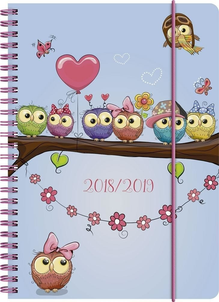 Brunnen Owl 2018/2019