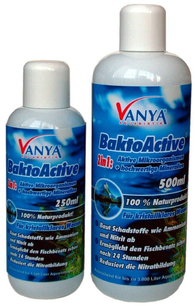 Vanya BaktoActive