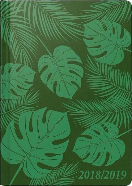 Brunnen Tropical 2018/2019
