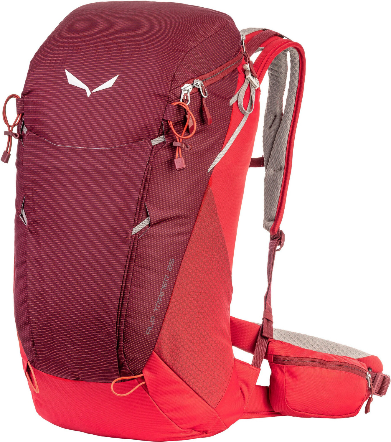 Salewa Alp Trainer 25L au meilleur prix sur idealo