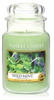 Yankee Candle Wild Mint 411g