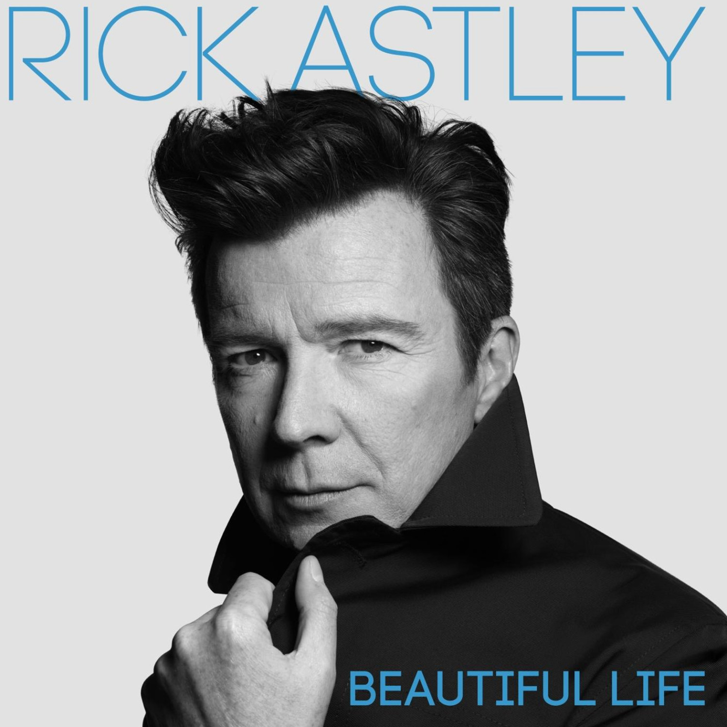 Rick Astley - Beautiful Life (CD)