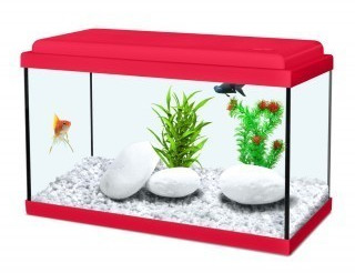Zolux Nanolife KIDZ 40 18 l charry red