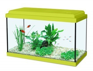 Zolux Nanolife KIDZ 40 18 l kiwi green