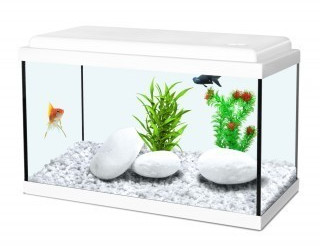 Zolux Nanolife KIDZ 40 18 l white
