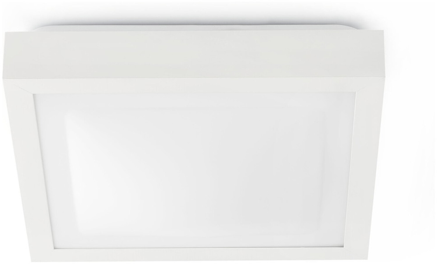 Faro Tola-1 white