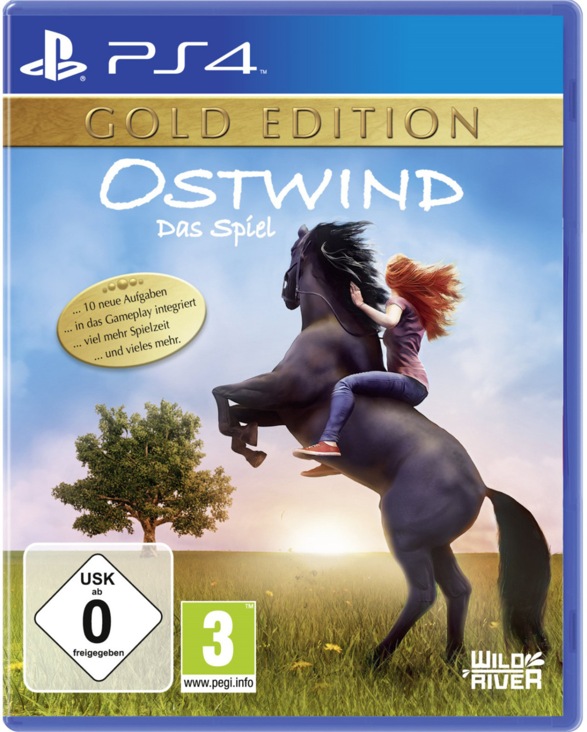 Windstorm: Gold Edition (PS4)