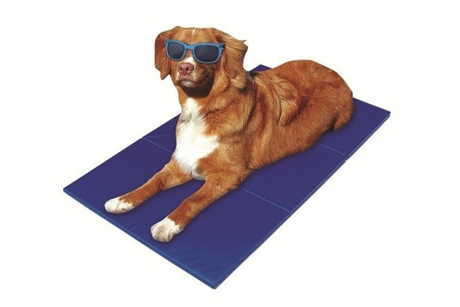 Pet-Star Cooling Mat Blue 94 x 79cm