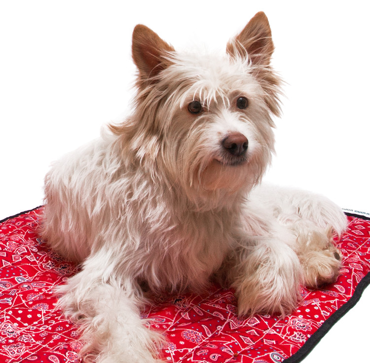 Aqua Coolkeeper Cooling Mat Red Western M 60x50cm