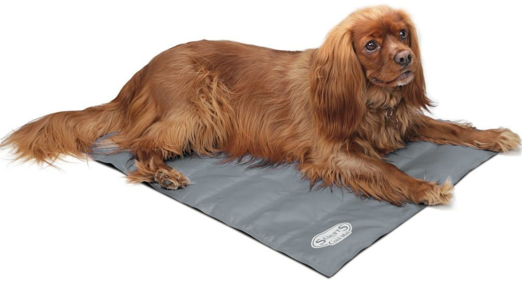 Scruffs for Pets Tapis rafraîchissant M gris