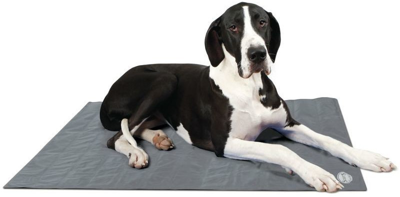 Scruffs for Pets Tapis rafraîchissant XL gris