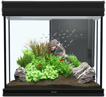 Aquatlantis Fusion 60 LED