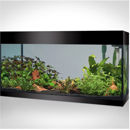 Askoll Pure Marine XL HC LED