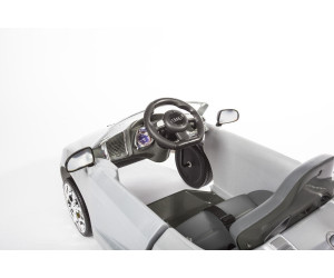 Rollplay audi push car cheap