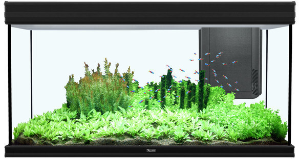 Aquatlantis Fusion 120x50 LED without Cabinet