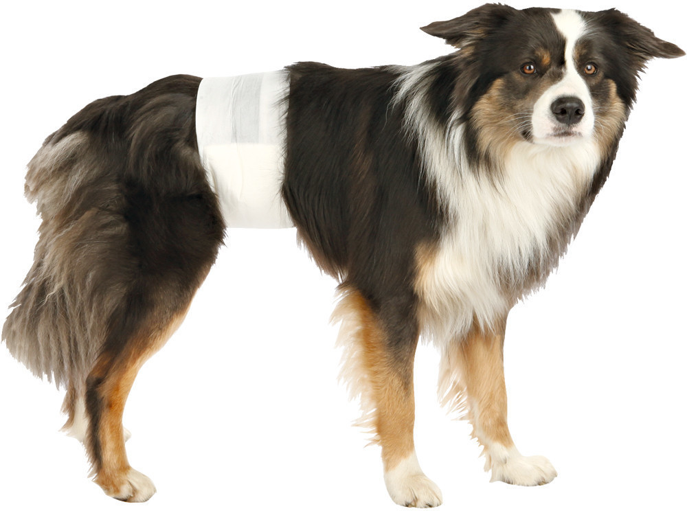 Trixie Couche pour chien M-L Trixie Couche pour chien M-L