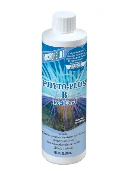 Microbe-Lift Phyto-Plus B 236ml
