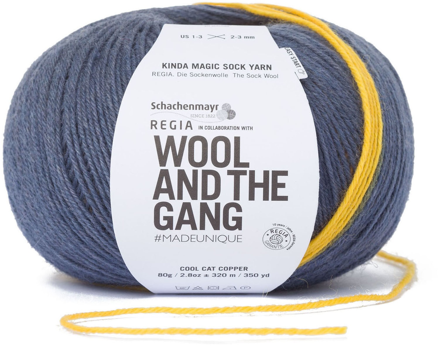 Regia Wool and the Gang Kinda Magic Sock Yarn