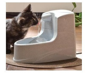 Mini hotsell drinkwell fountain