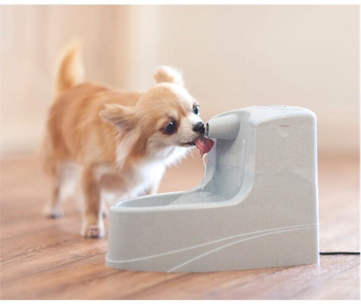 Petsafe Fontaine à eau pour chat Petsafe Fontaine à eau pour chat