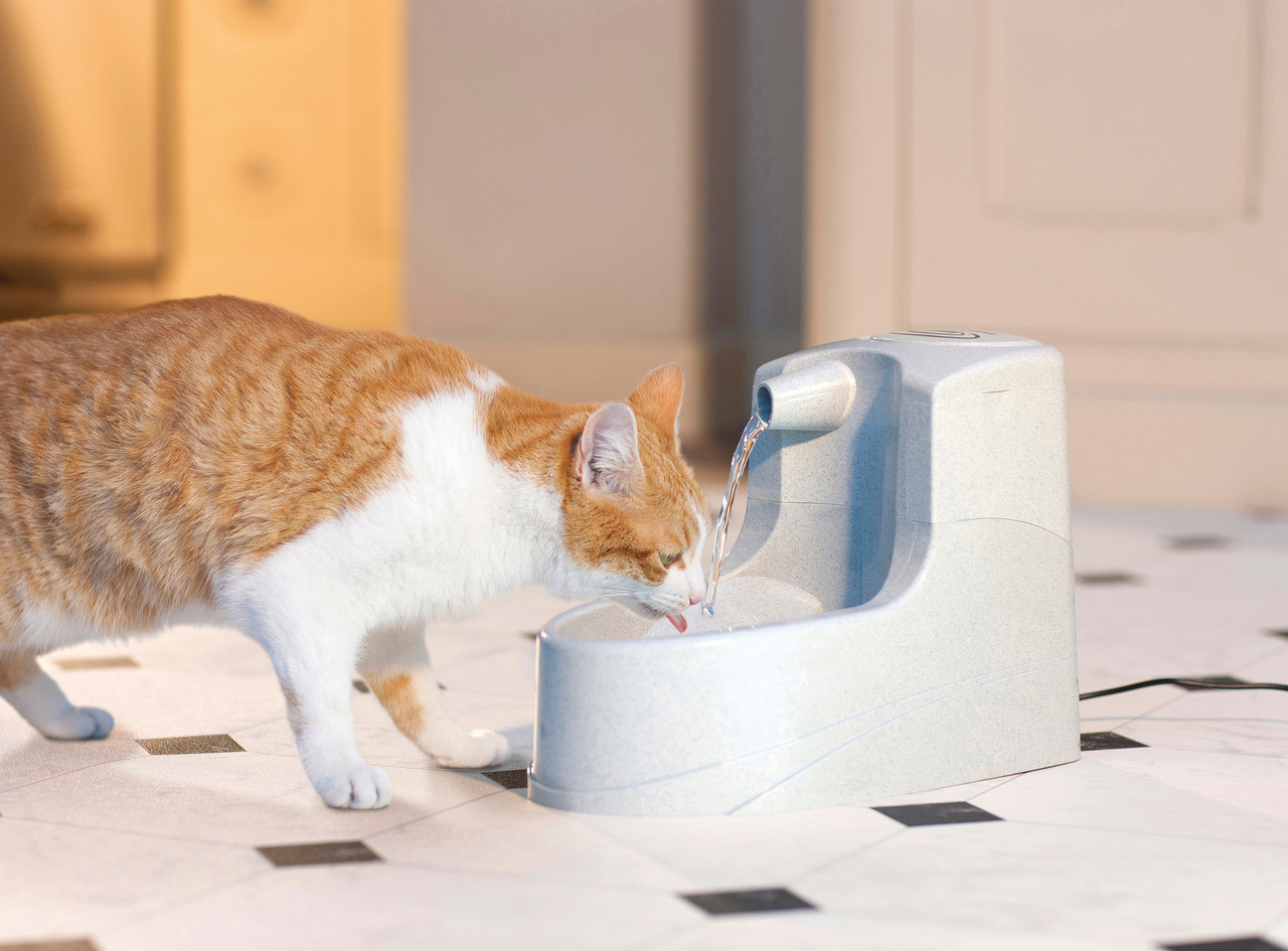Petsafe Fontaine à eau pour chat Petsafe Fontaine à eau pour chat